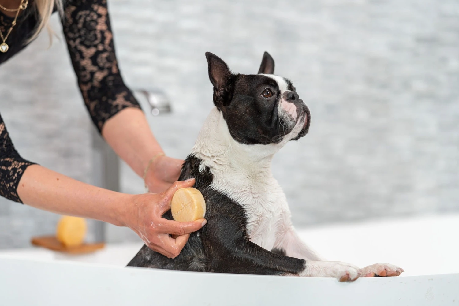 Dog Shampoo Bar – Short-Haired Dogs - Image 3