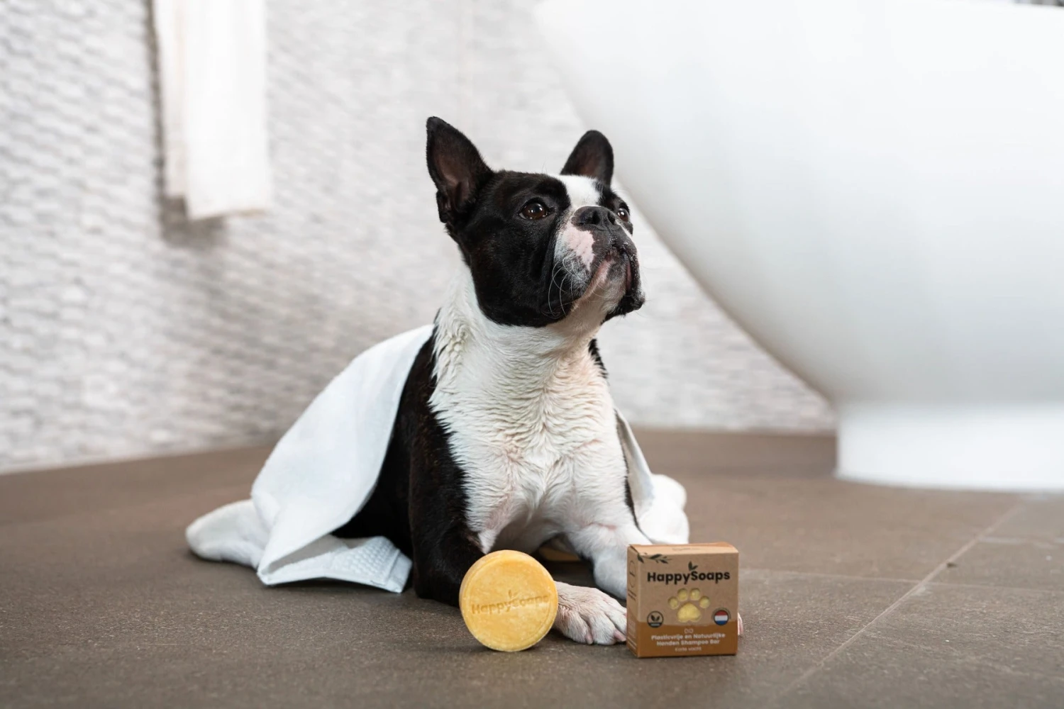 Dog Shampoo Bar – Short-Haired Dogs - Image 5